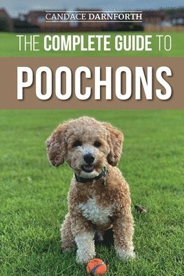 Candace Darnforth - Complete Guide to Poochons, Häftad