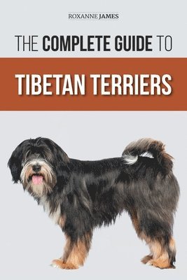 Complete Guide to Tibetan Terriers