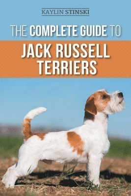 Complete Guide to Jack Russell Terriers