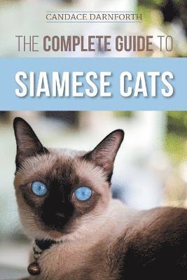 Candace Darnforth - Complete Guide to Siamese Cats, Häftad