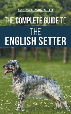 Candace Darnforth - Complete Guide to the English Setter, Inbunden