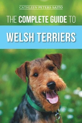 Complete Guide to Welsh Terriers