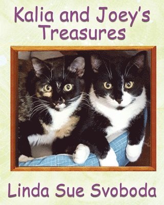 Linda Sue Svoboda - Kalia and Joey's Treasures, Häftad