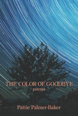 Pattie Palmer-Baker - Color of Goodbye, Häftad. Tillgänglighet: Lägg i varukorg