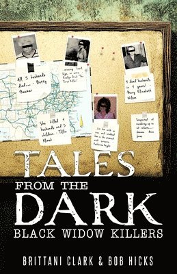 Bob Hicks, Brittani Clark - Tales From The Dark, Häftad. Tillgänglighet: Lägg i varukorg