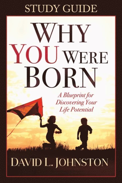 David Johnston - Why You Were Born Study Guide, E-bok