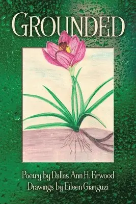Dallas Ann H Erwood - Grounded, Häftad. Tillgänglighet: Lägg i varukorg