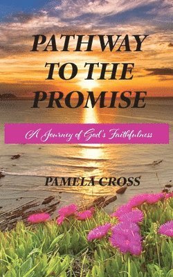 Pamela Cross - Pathway to the Promise, Häftad