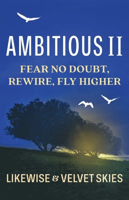 Likewise - Ambitious II, E-bok. Tillgänglighet: Lägg i varukorg