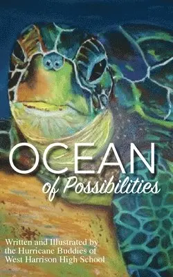 Hurricane Buddies - Ocean of Possibilities, Häftad. Tillgänglighet: Lägg i varukorg
