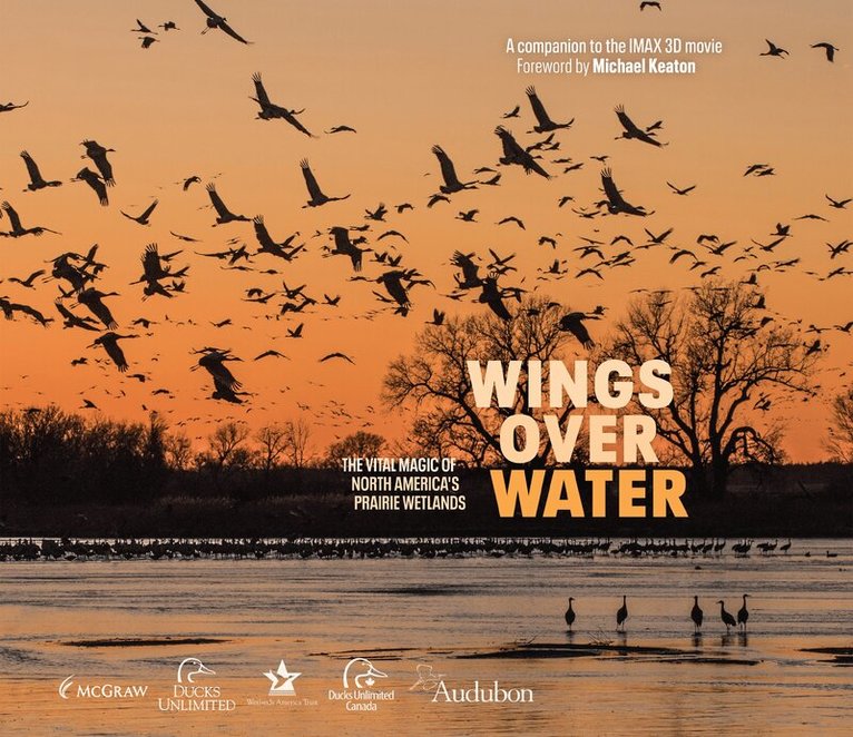 Wings for Wetlands LLC - Wings Over Water, Inbunden