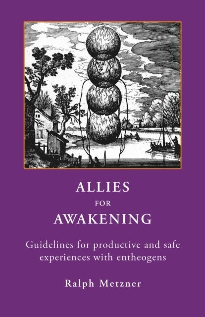 Ralph Metzner - Allies For Awakening, E-bok