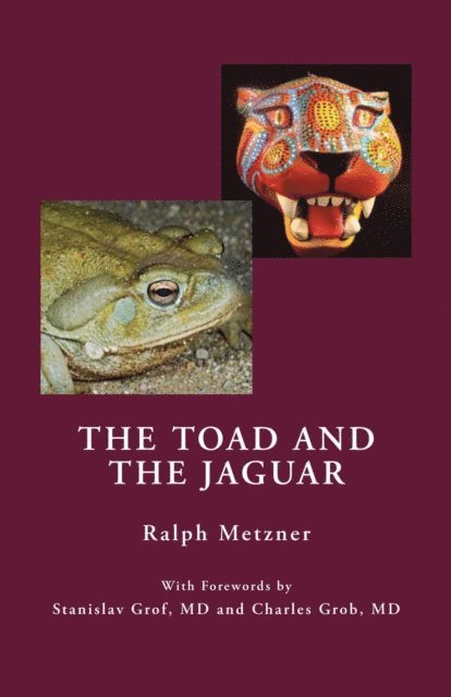 Ralph Metzner - Toad and the Jaguar, E-bok