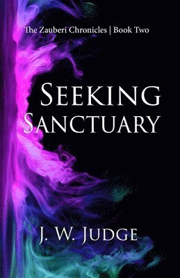 J W Judge - Seeking Sanctuary, Häftad