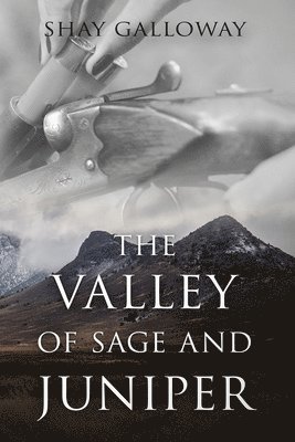 Shay Galloway - Valley of Sage and Juniper, Häftad