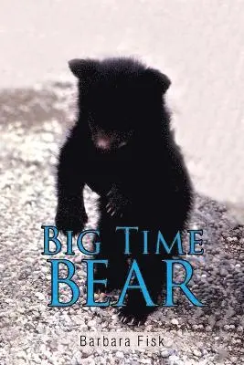 Barbara Fisk - Big Time Bear, Häftad. Tillgänglighet: Lägg i varukorg