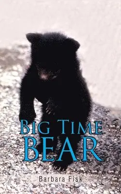 Barbara Fisk - Big Time Bear, Inbunden. Tillgänglighet: Lägg i varukorg