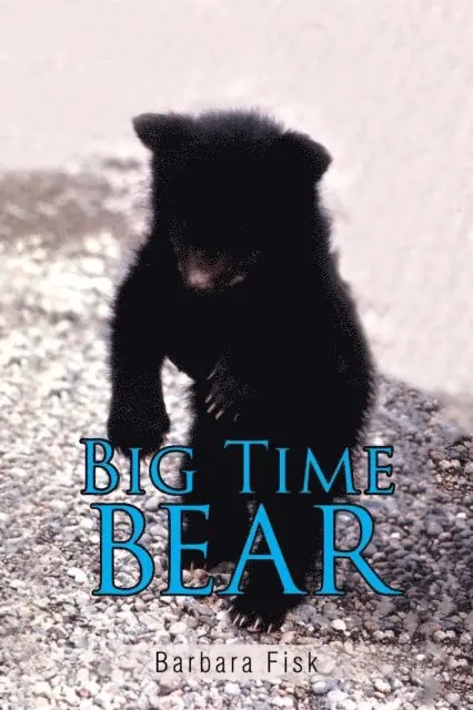 Barbara Fisk - Big Time Bear, E-bok. Tillgänglighet: Lägg i varukorg