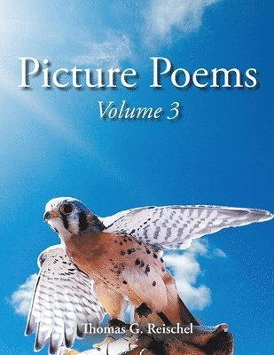 Thomas Reischel - Picture Poems Volume 3, Häftad