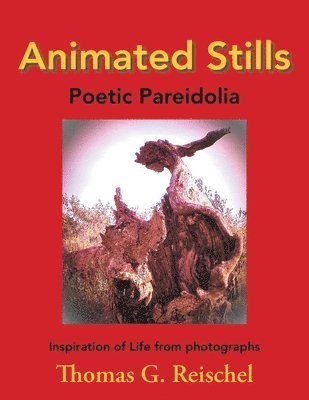 Thomas Reischel - Animated Stills, Häftad