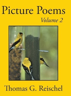 Thomas Reischel - Picture Poems Volume 2, Inbunden