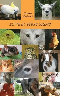 Cindy Hedrick - Love at First Sight, Inbunden. Tillgänglighet: Lägg i varukorg