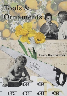 Tracy Rice Weber - Tools & Ornaments, Häftad