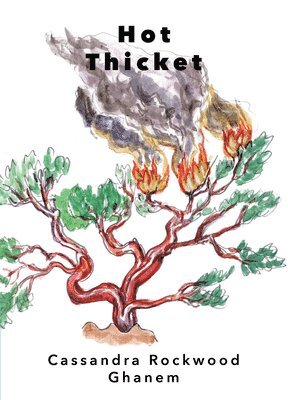 Cassandra Rockwood Ghanem - Hot Thicket, Häftad