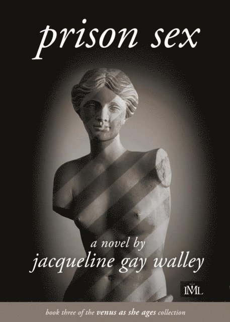 Jacqueline Gay Walley - Prison Sex, E-bok