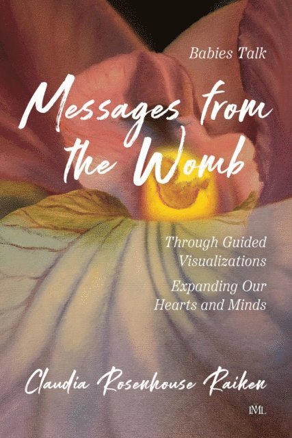 TBD, Claudia Rosenhouse-Raiken - Messages from the Womb, E-bok