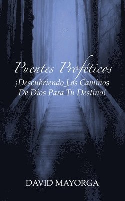 David Mayorga - Puentes Proféticos, Häftad