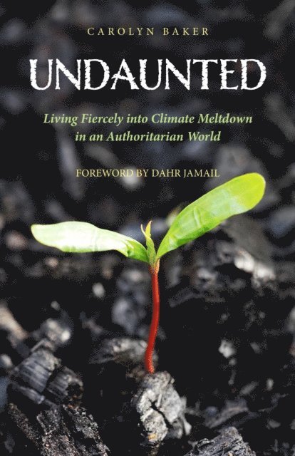 Carolyn Baker - Undaunted: Living Fiercely into Climate Meltdown in an Authoritarian World, E-bok