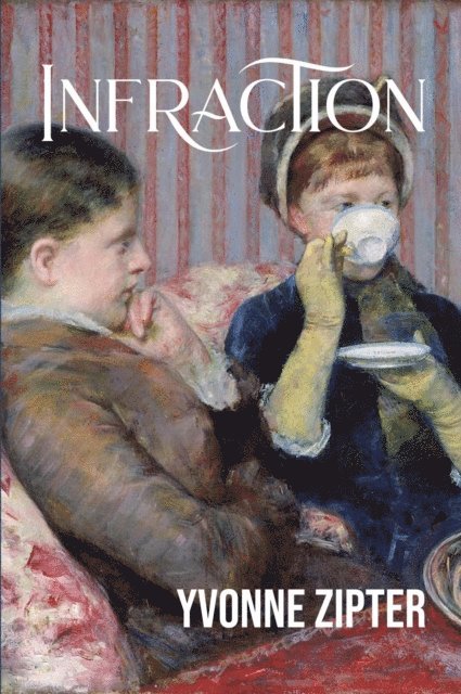 Yvonne Zipter - Infraction, E-bok