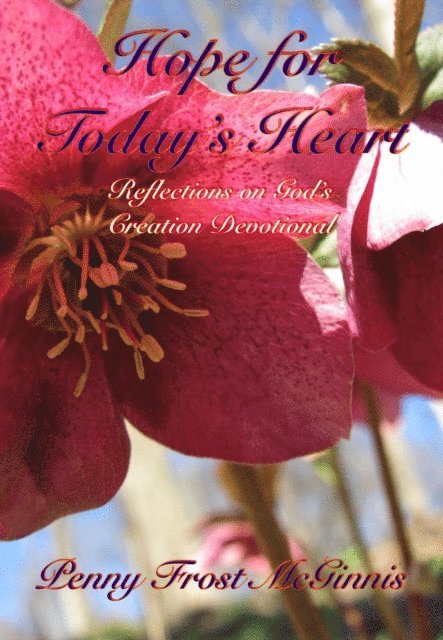 Penny Frost McGinnis - Hope for Today's Heart, E-bok