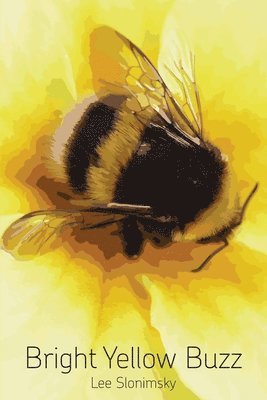 Lee Slonimsky - Bright Yellow Buzz, Häftad