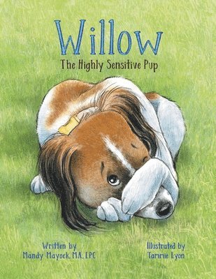 Mandy Mayock - Willow the Highly Sensitive Pup, Häftad