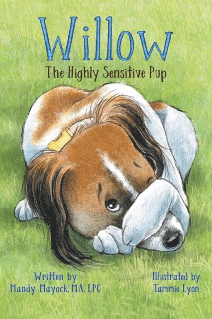 Mandy Mayock - Willow the Highly Sensitive Pup, E-bok