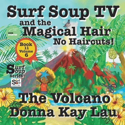 Donna Kay Lau, Donna Kay Lau - Surf Soup TV and the Magical Hair, Häftad