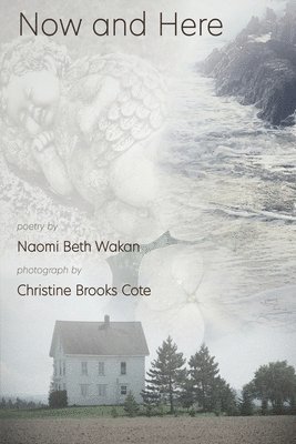 Naomi Beth Wakan - Now and Here, Häftad