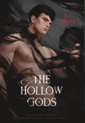 a J Vrana - Hollow Gods, Inbunden