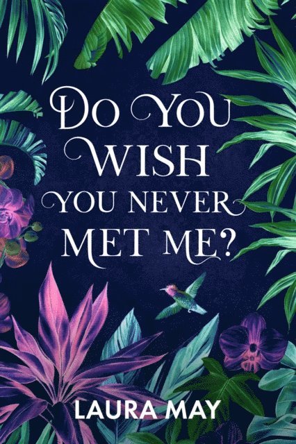 Laura May - Do You Wish You Never Met Me?, E-bok