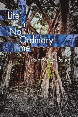 Laurel Feigenbaum - Life in No Ordinary Time, Häftad