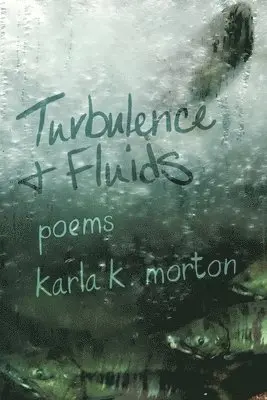 Karla K Morton - Turbulence & Fluids, Häftad. Tillgänglighet: Lägg i varukorg