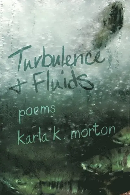 karla k. morton - Turbulence & Fluids, E-bok. Tillgänglighet: Lägg i varukorg
