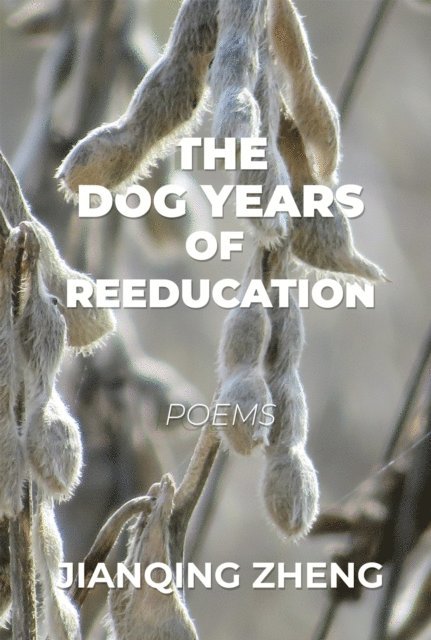 Jianqing Zheng - Dog Years of Reeducation, E-bok