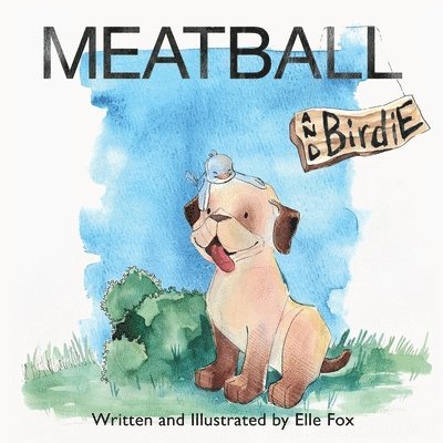 Elle Fox - Meatball and Birdie, Häftad