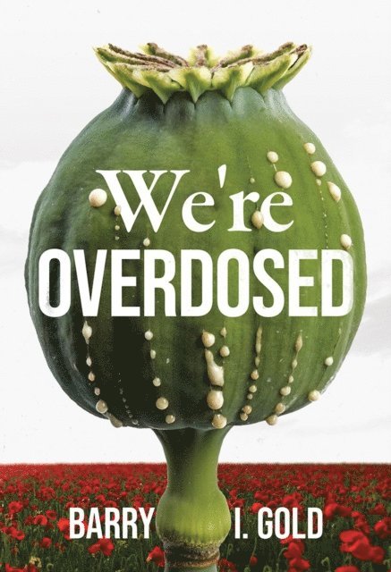 Barry I Gold - We're Overdosed, E-bok
