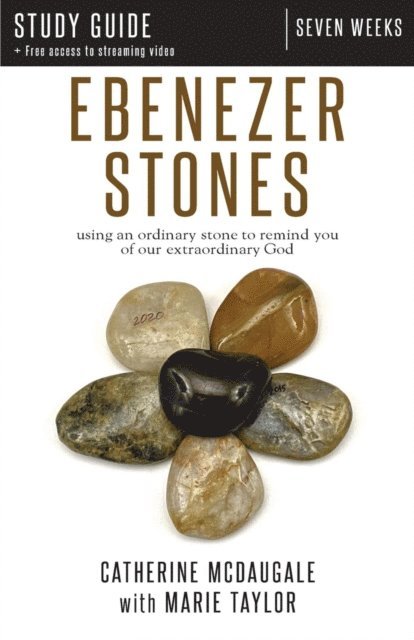 Marie Taylor, Catherine McDaugale - Ebenezer Stones Study Guide plus streaming video, E-bok