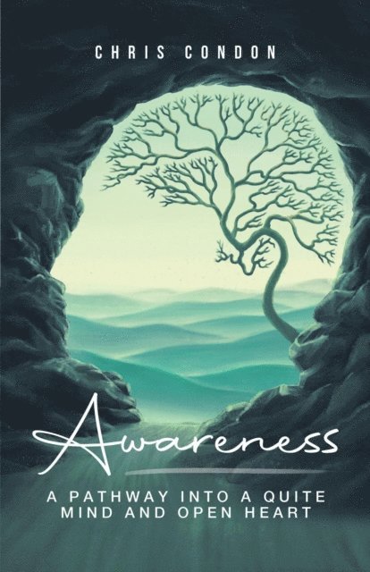 Chris Condon - Awareness, E-bok