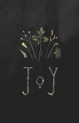 Francis Daulerio - Joy, Häftad